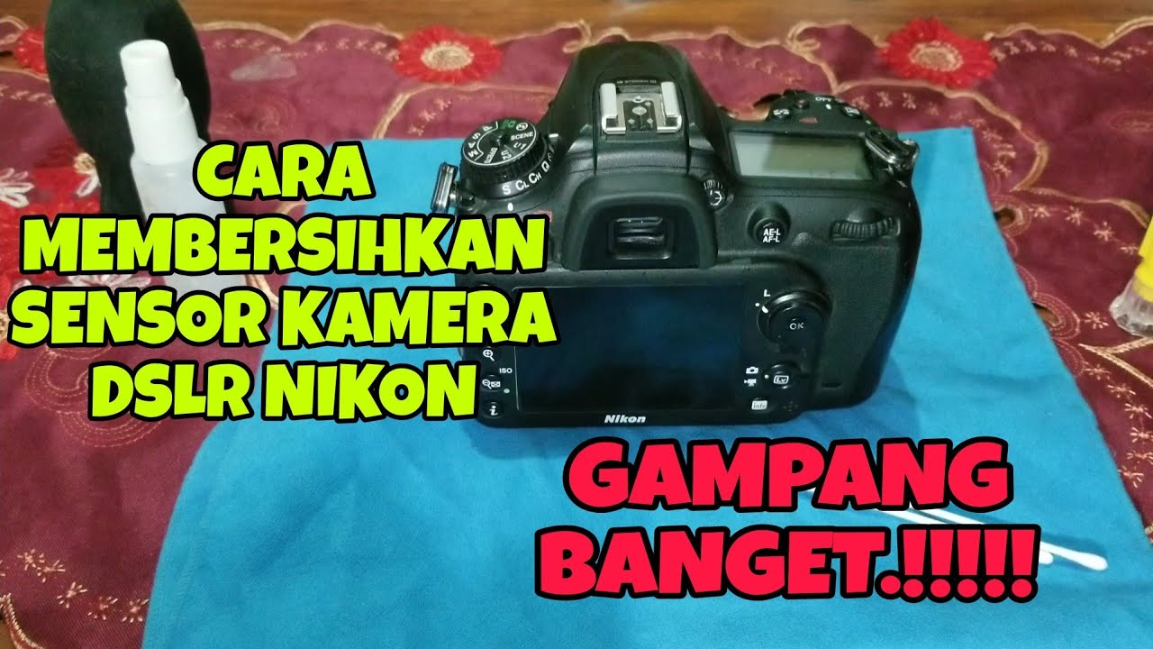 cara membersihkan sensor kamera nikon DSLR. #nikon #service #nikon #iamnikon