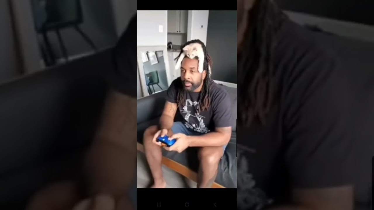 Cat playing with hair? How about cat in hair?