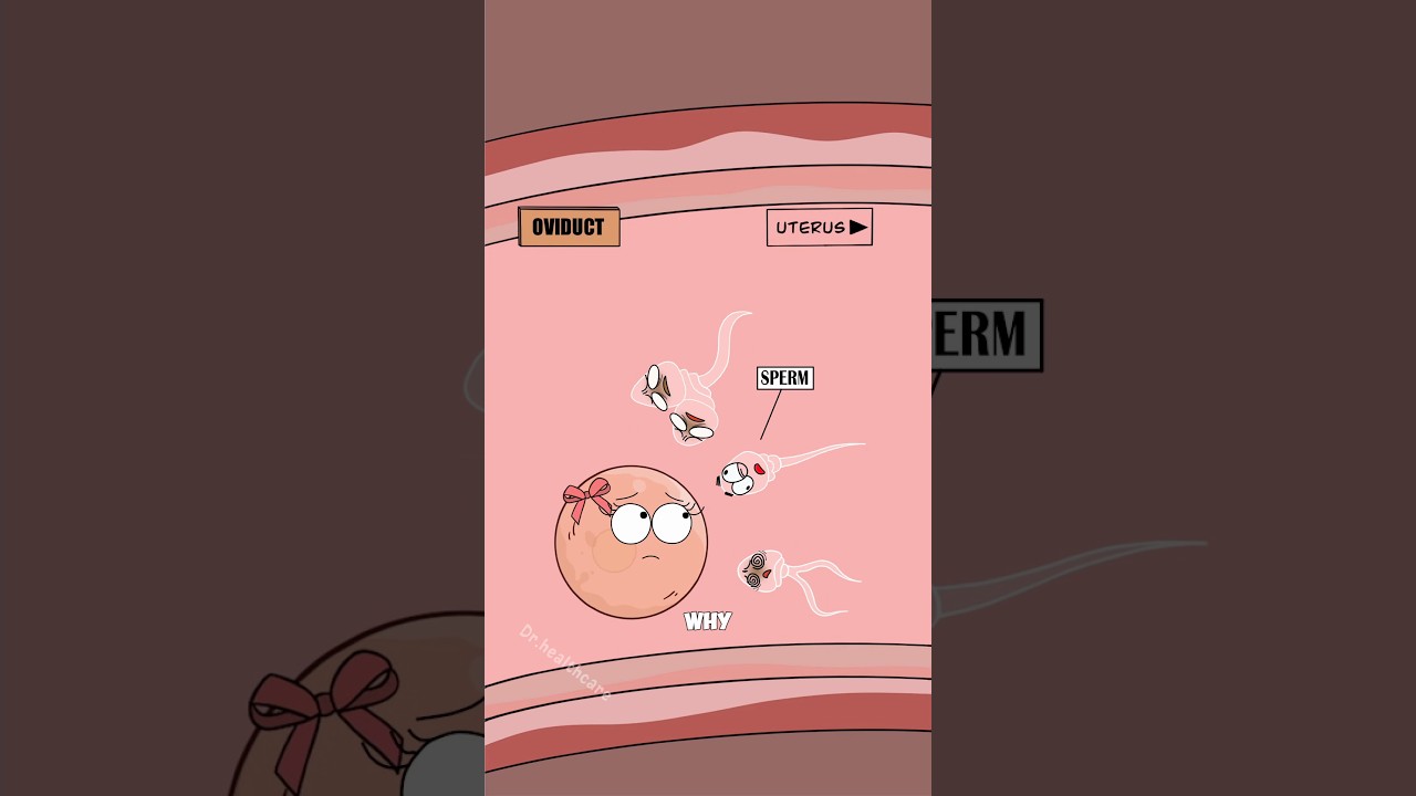 How This Procedure Helps Fertilize an Egg