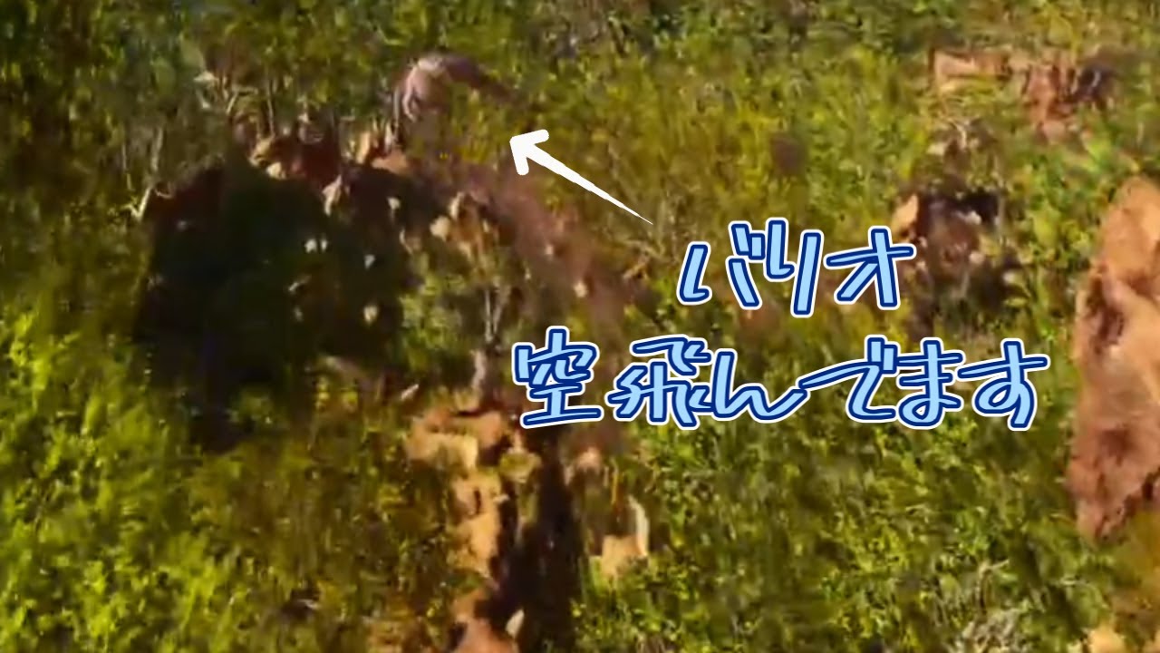 【ARK】洞窟日和ってるやついる？い、いないよね？　ち族定期配信！！