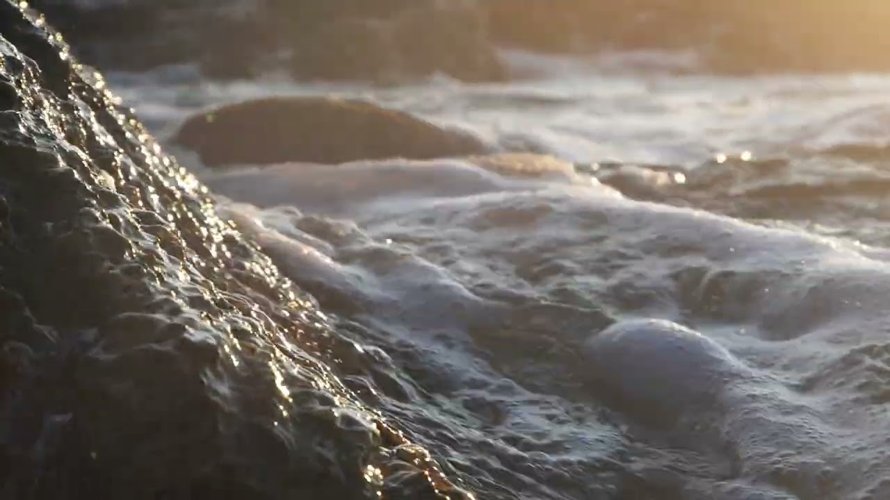 Golden sea foam and rock detail close up | Free stock footage