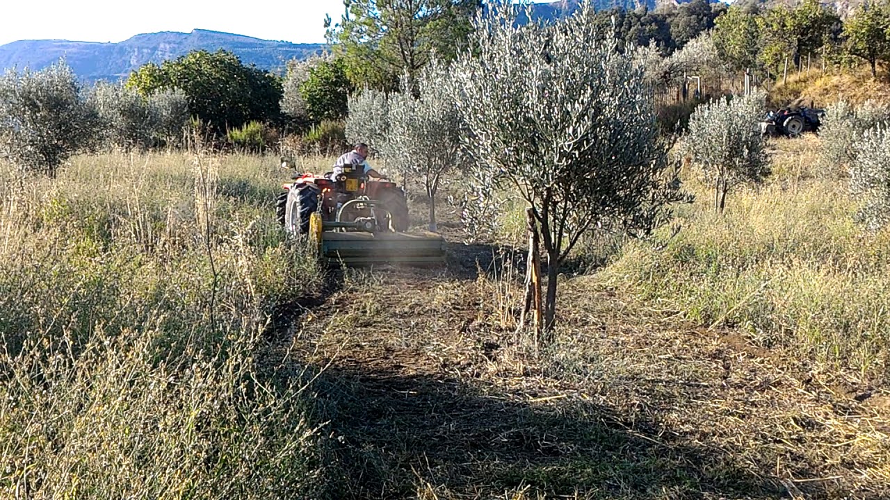 Trinciatura con A.Carraro TC5800F e Trincia Celli Sirio 165 S