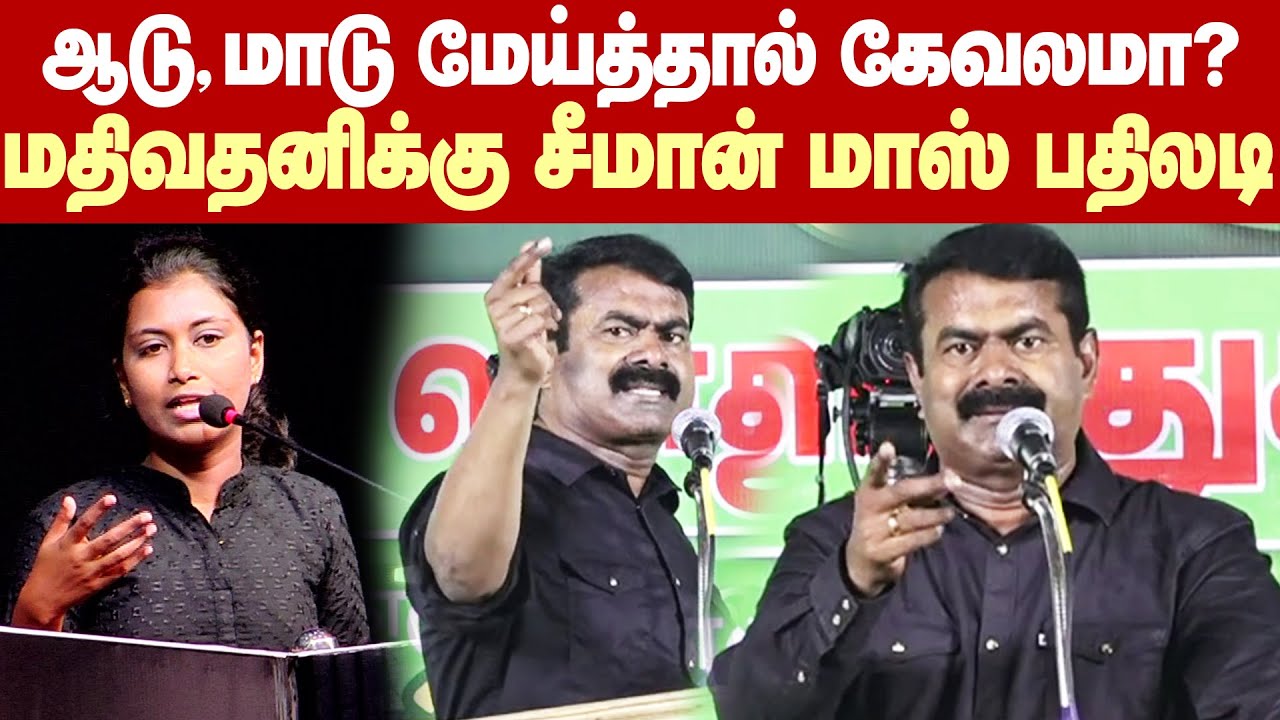 Seeman Vs Mathivathani Fight | யாரு ஆடு, மாடு மேய்க்கணும்? - மதிவதனிக்கு சீமான் மாஸ் பதிலடி!