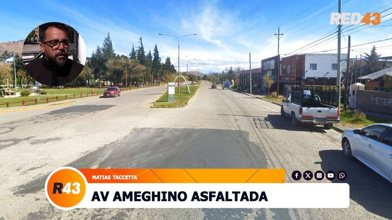 AV AMEGHINO ASFALTADA