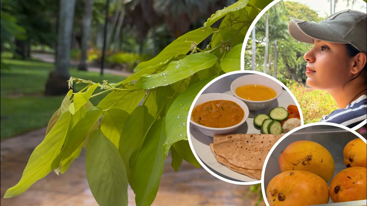 Darwin Rain Vlog | Mango Season, Aamras Making & Nature Walk Fun