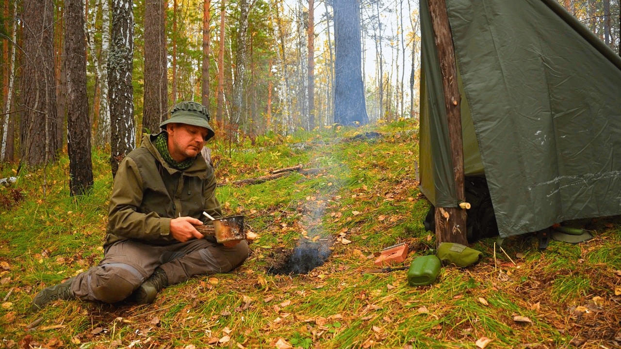 1 Day Alone in the Forest | Campfire, Shelter & Wilderness Survival