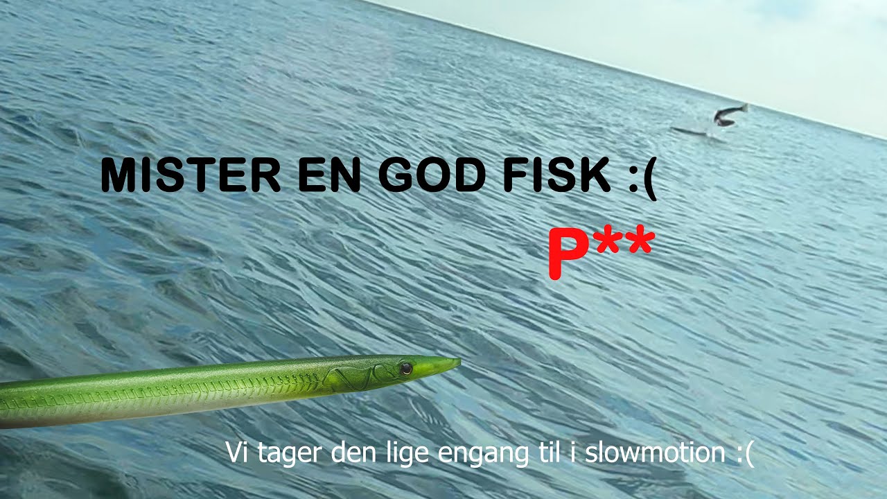 Havørred tur d. 12 september