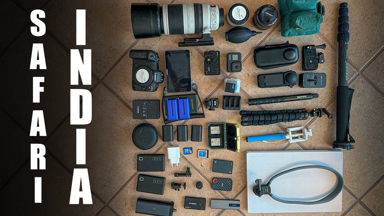 Attrezzatura Fotografica per Viaggio Fotografico in India - Riempio lo Zaino Fotografico - Tigre