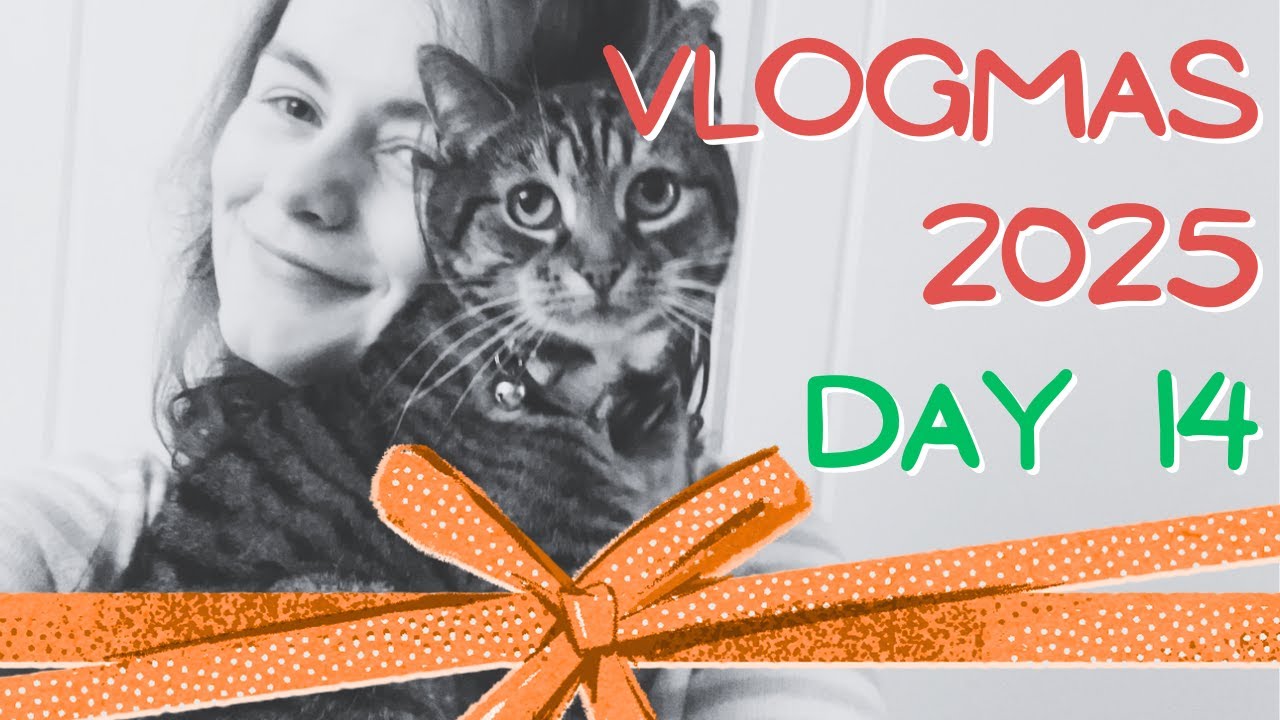 🐾✨ Vlogmas Day 14: Making a Self-Heating Blanket for My Cat
