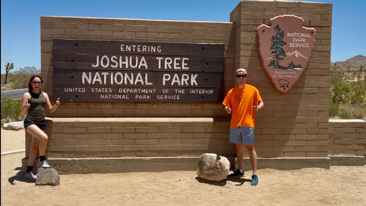 These trees are over 1000 years old! 