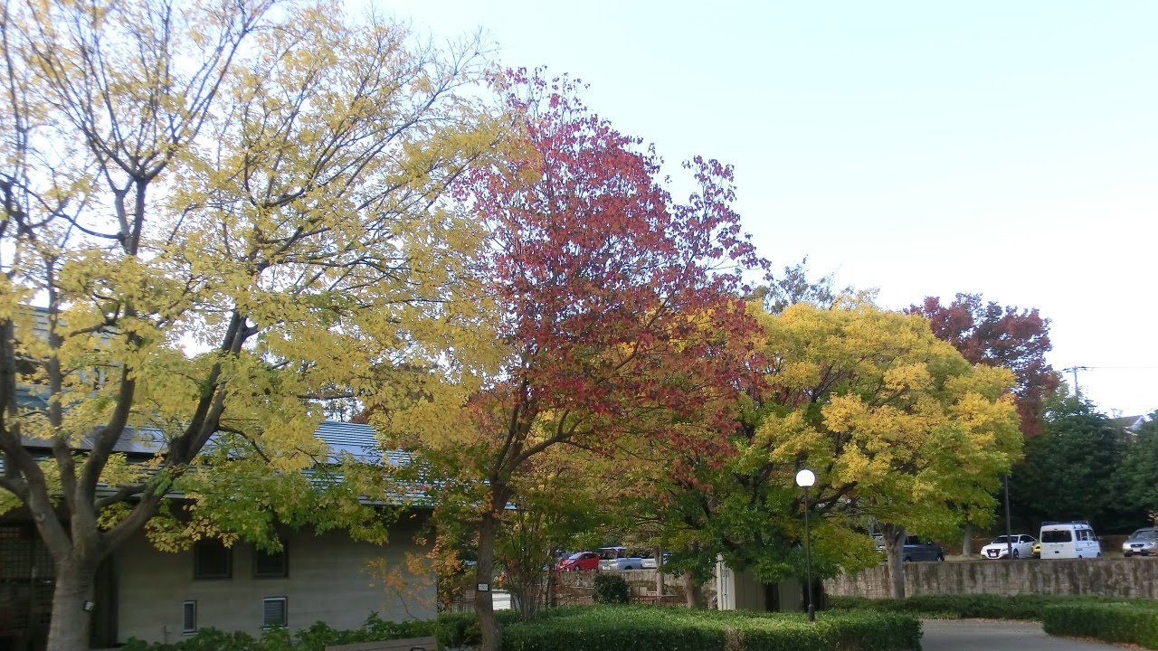ドライブ＆散歩＿座間市散歩_神奈川県立座間谷戸山公園