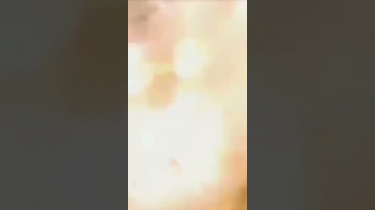 school bus bomb blast happened and daya sir