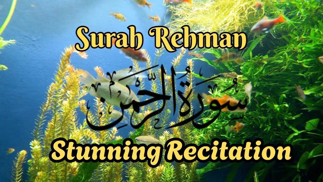 Beautiful Surah Rehman Recitation #quran #surahrahman #morningprayer 