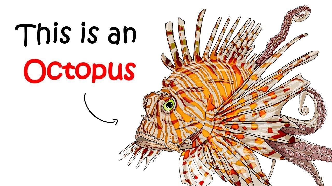 Mimic Octopus: The Sea Creature That Stumped Scientists