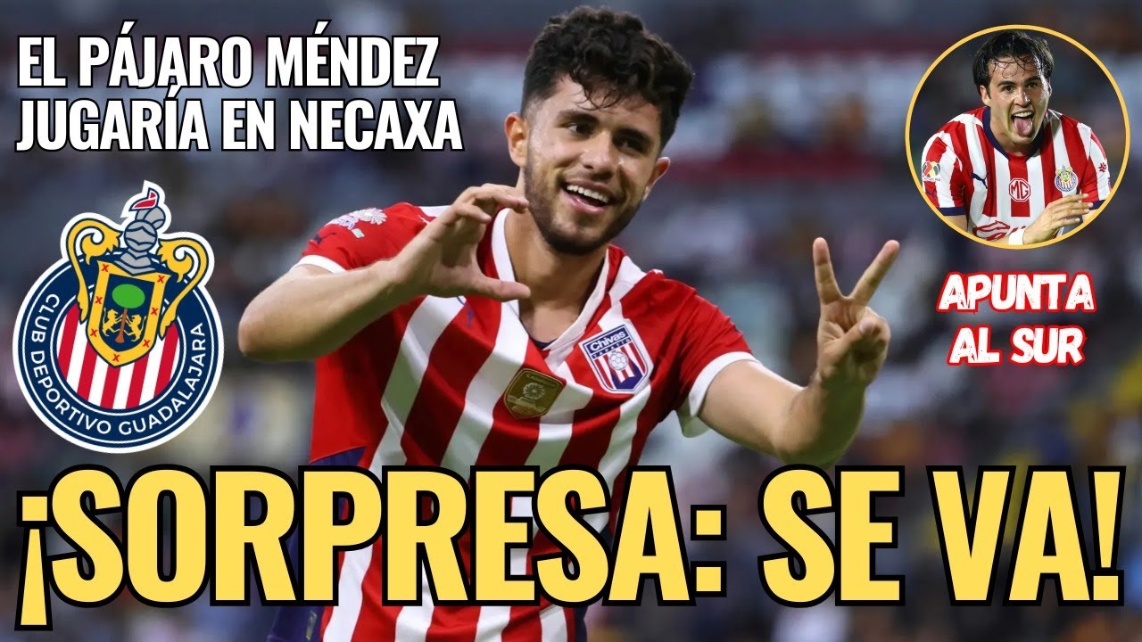 🚨 ¡NOTICIAS CHIVAS: SORPRESA, se va el PÁJARO Méndez del REBAÑO! Además, WILKE toma RUMBO al SUR 🚨