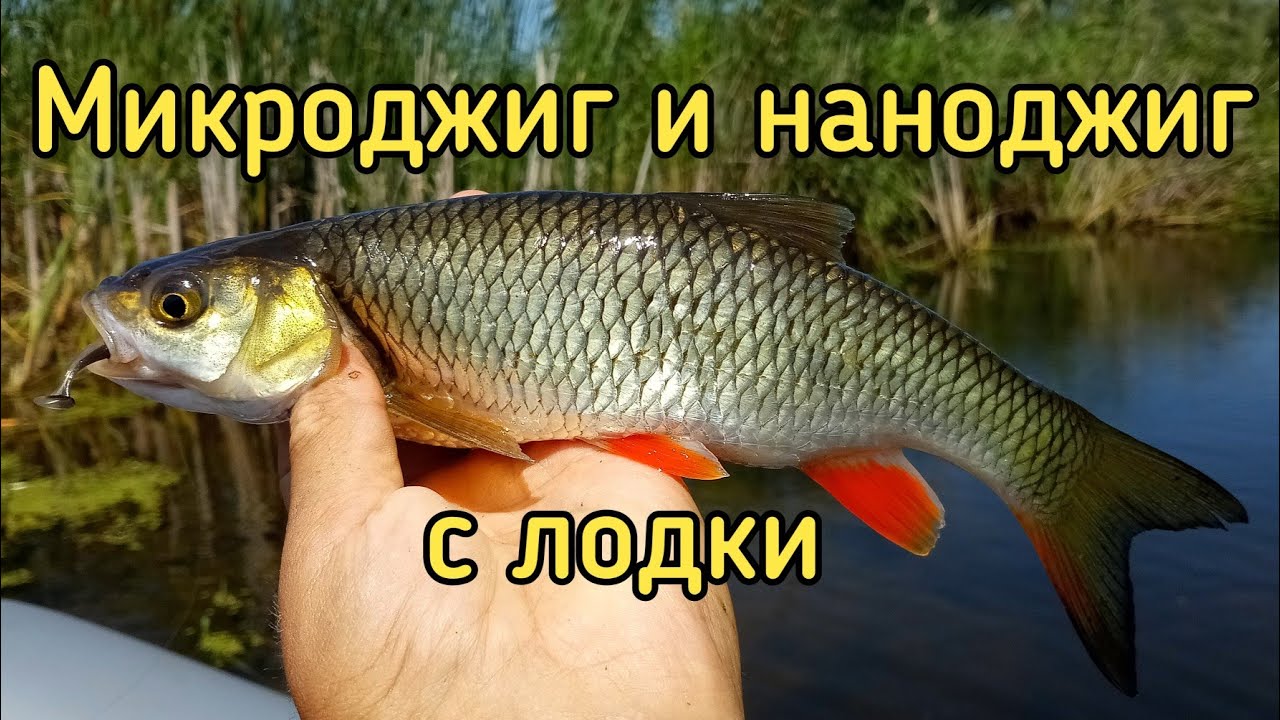 Микроджиг и наноджиг с лодки. Black Adder Nano 168 0.5 -1 гр. и Stream Song 180 2 - 10 гр.