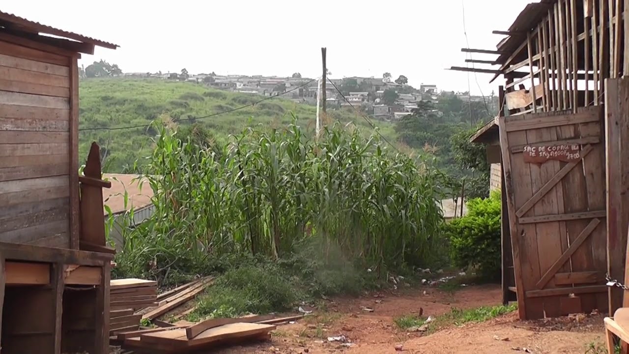 Nsamba Binga - M'a Kañe Zambe