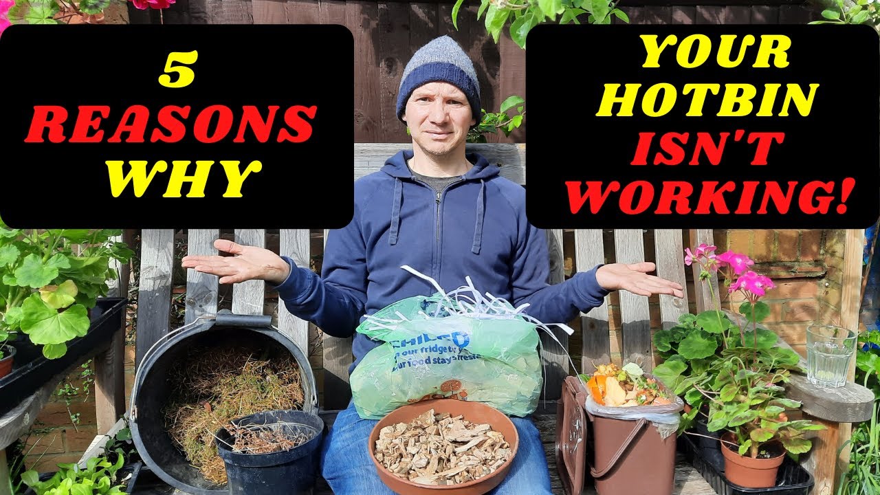 5 Reasons Why Your Hotbin Composter Isn't Heating Up ( and a few others)