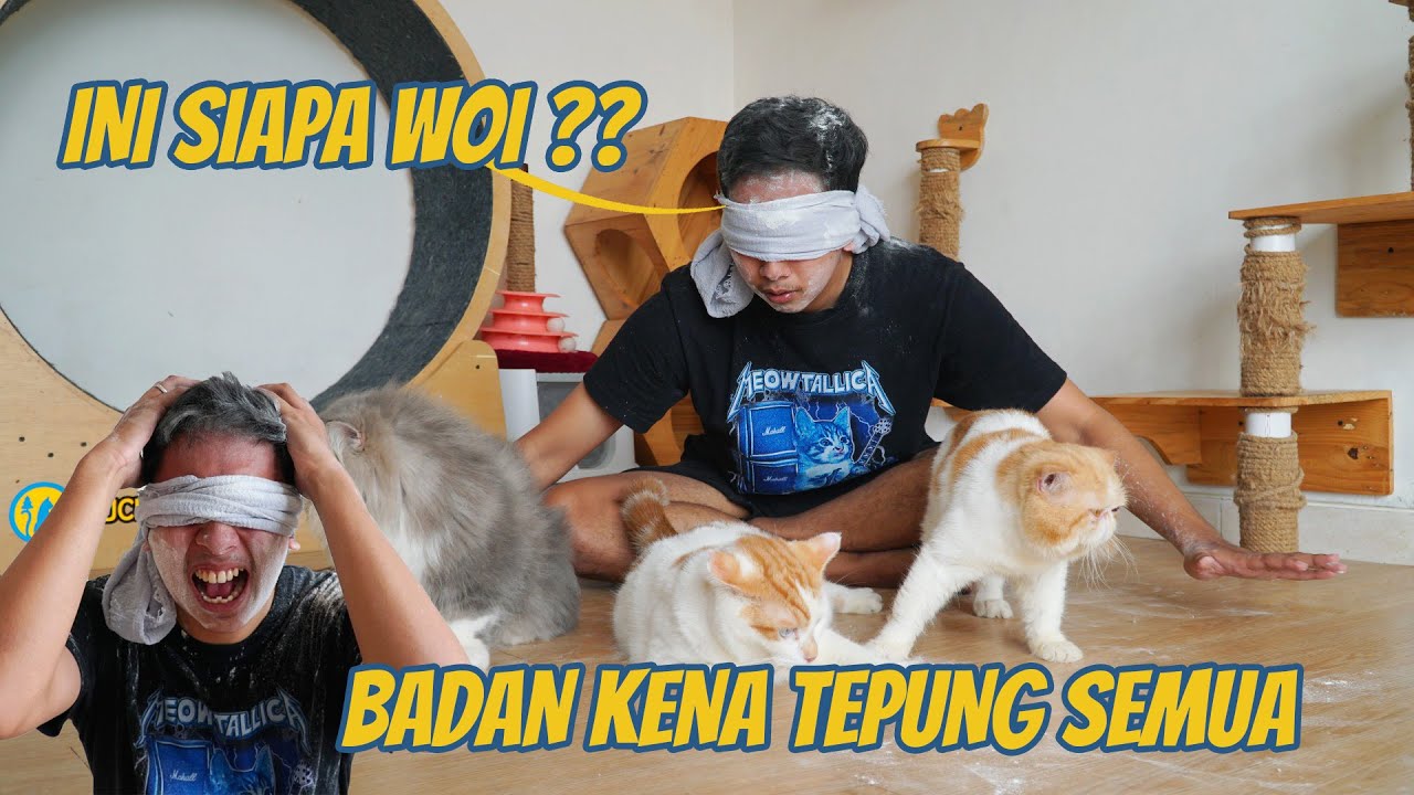 TEBAK NAMA KUCING PAKE MATA TERTUTUP !!!