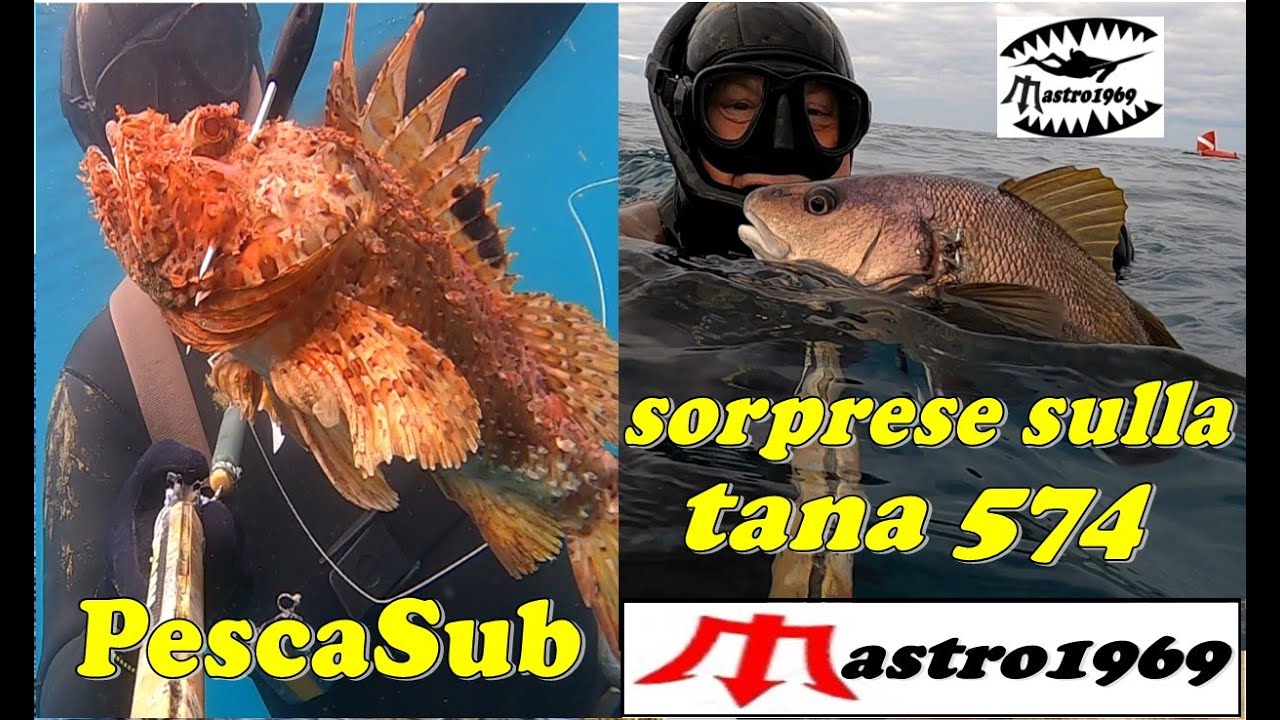 PESCASUB partenza riva corvine cappone cefalo sparamine 75 inverter
