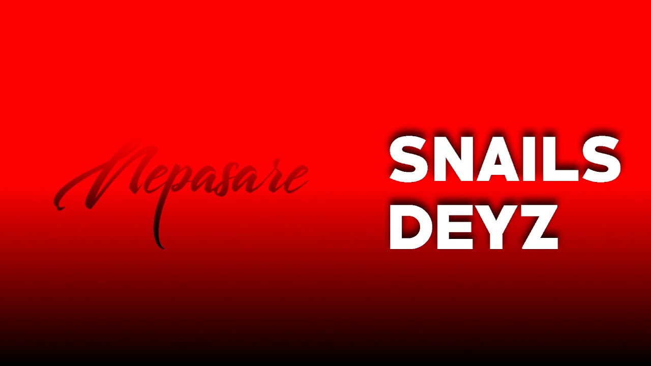 DEYZ VS. Snails - Nepasare (prod. DEYZ )