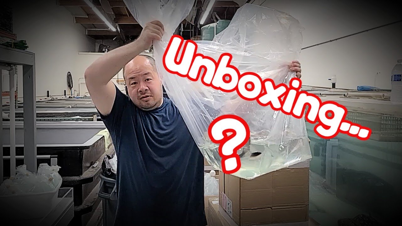 UNBOXING the MOST DIFFICULT CATFISH to SHIP