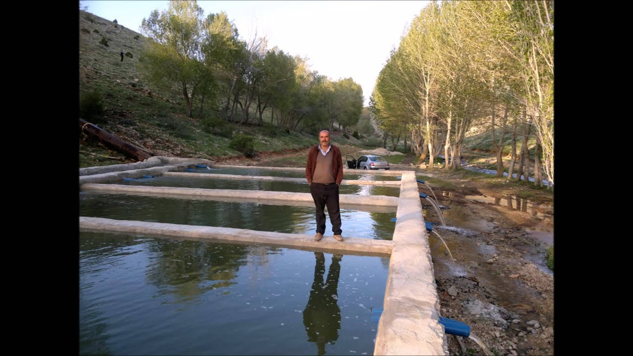 SARIZ ÇAVDAR KÖYÜ