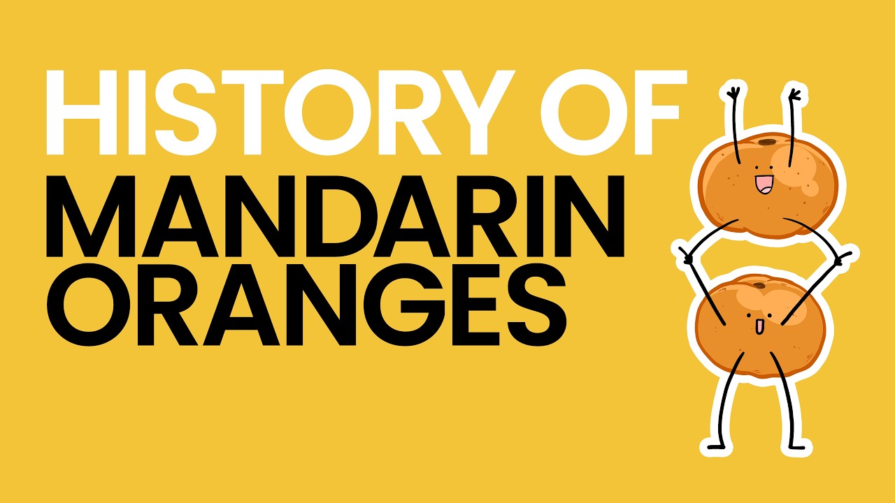 History of Mandarin Oranges - What Am I Even Eating?!