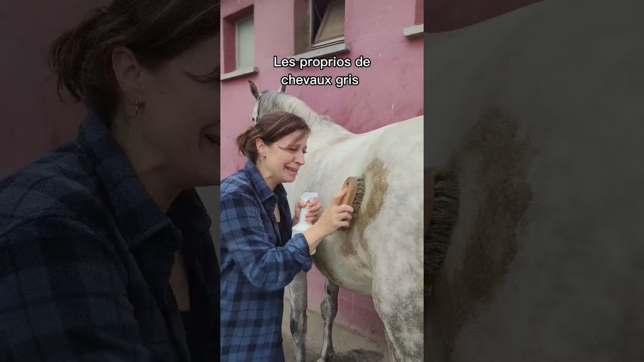 Sp&eacute;ciale d&eacute;dicace &agrave; la Maman de KK 😂😂😂 toujours un bonheur de te voir frotter ! #entresesoreilles