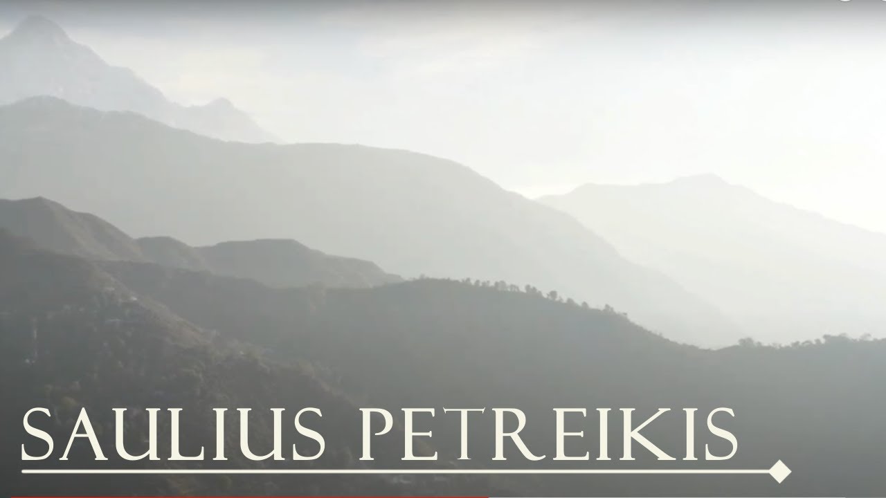 Saulius Petreikis & Donatas Petreikis - Peace