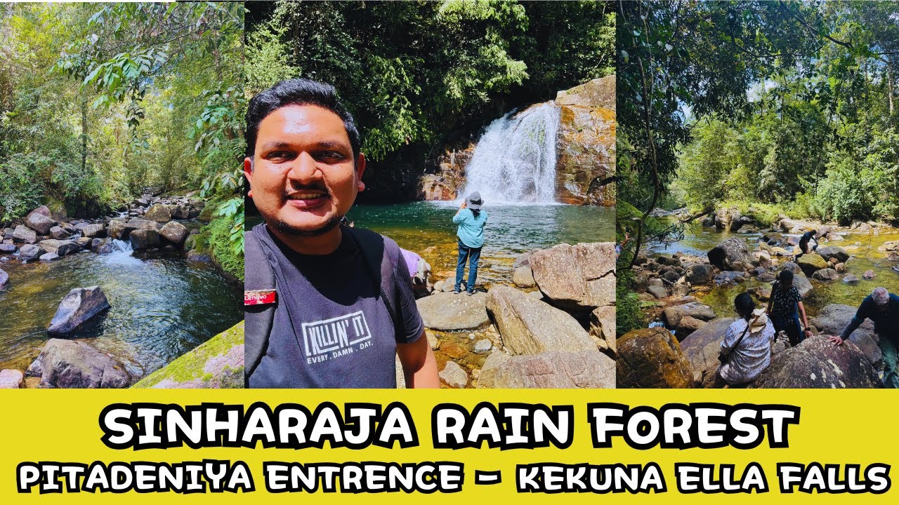 Sinharaja Rain Forest - Pitadeniya Entrance - Kekuna Ella Falls #sinharaja #sinharajaya