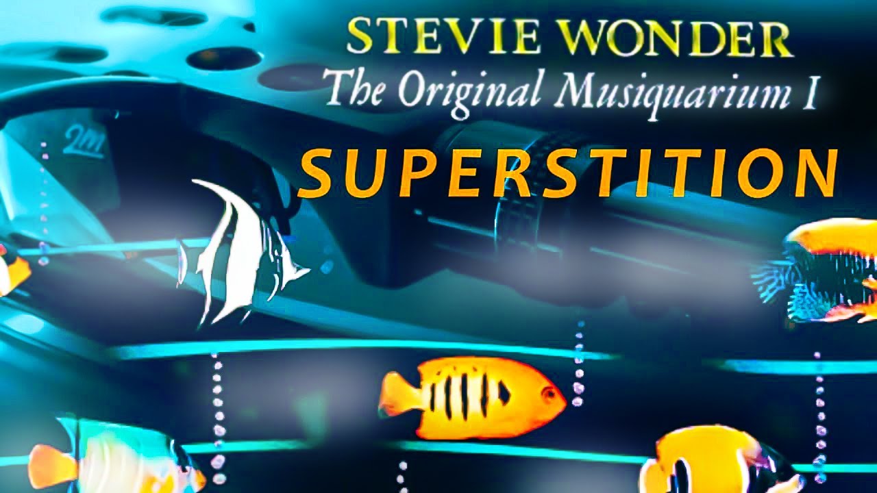 Stevie Wonder Superstition  / vinyl 💎 Ortofon 2M Bronze