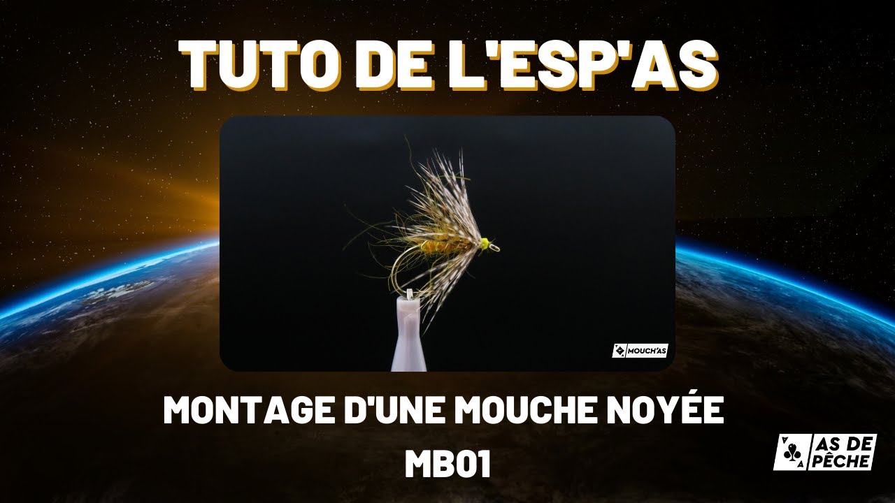 TUTO de L'esp'As Montage de la MB01