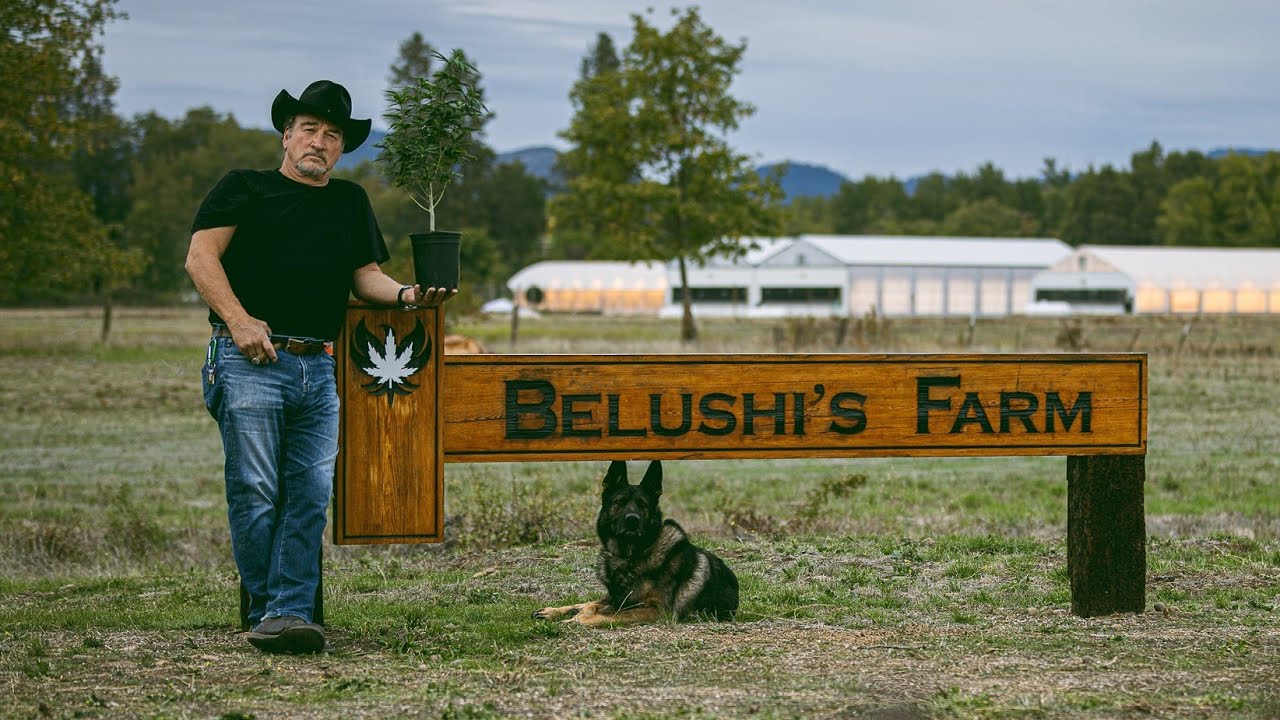 Growing Belushi Compilation 2 | HD