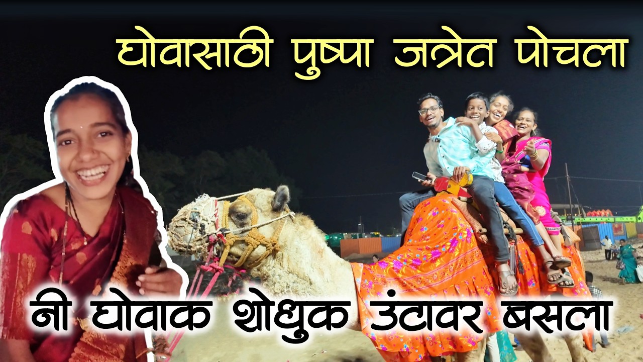 घोवासाठी पुष्पा जत्रेत पोचला नी घोवाक शोधूसाठी मगे उंटावर जाऊन बसला 😂😂| कुणकेश्वर जत्रा #कोकण #kokan