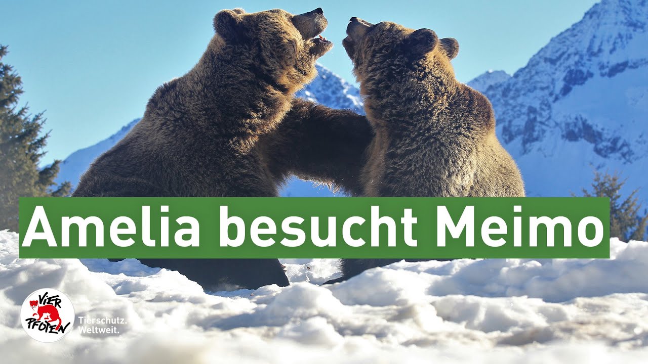 #arosafriday - Amelia besucht Meimo | VIER PFOTEN