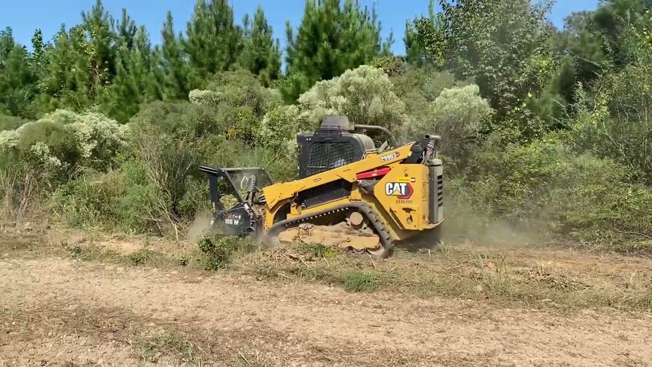 Cat 299D3 XE mulching overgrown property. #caterpillar #mulching #landmanagement