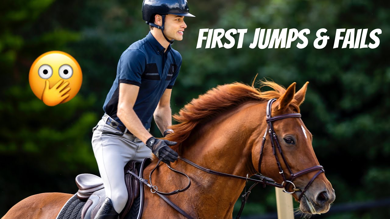 WE STARTED TO JUMP! || Retired Dressage Horse Turns Competitive Showjumper