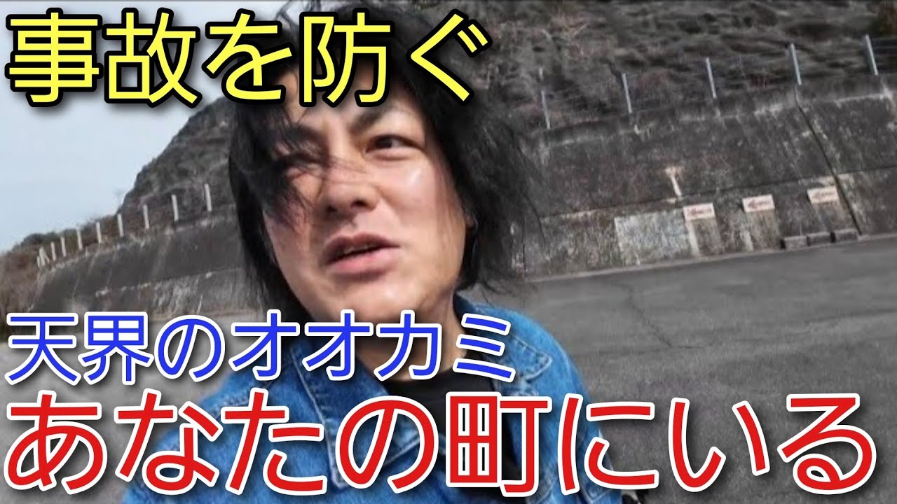 【発覚】事故が起きなかった“本当の理由”｜あなたの町にいる天界のオオカミ