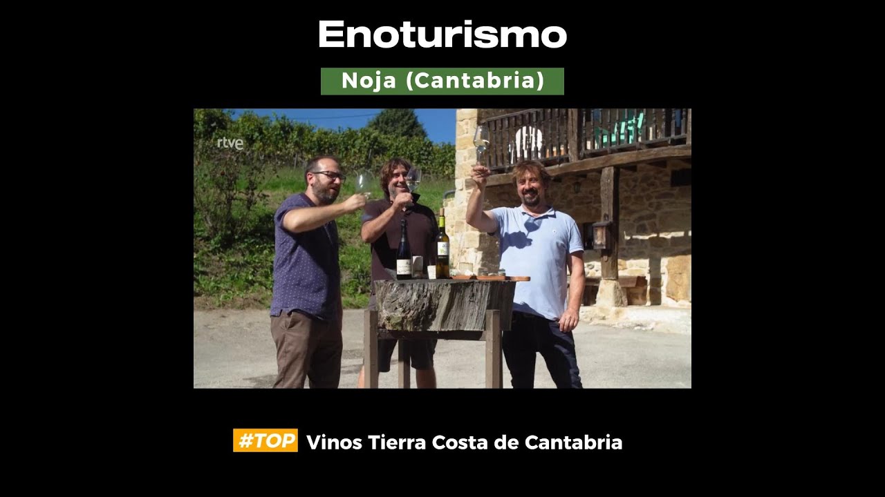 Enoturismo con BODEGAS VIDULAR en NOJA - AHORA O NUNCA