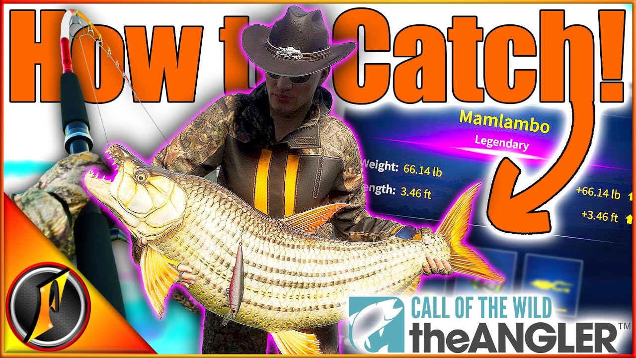 NEW AFRICA LEGENDARY! Where & How to Catch Mamlambo the Legendary Tigerfish! | theAngler