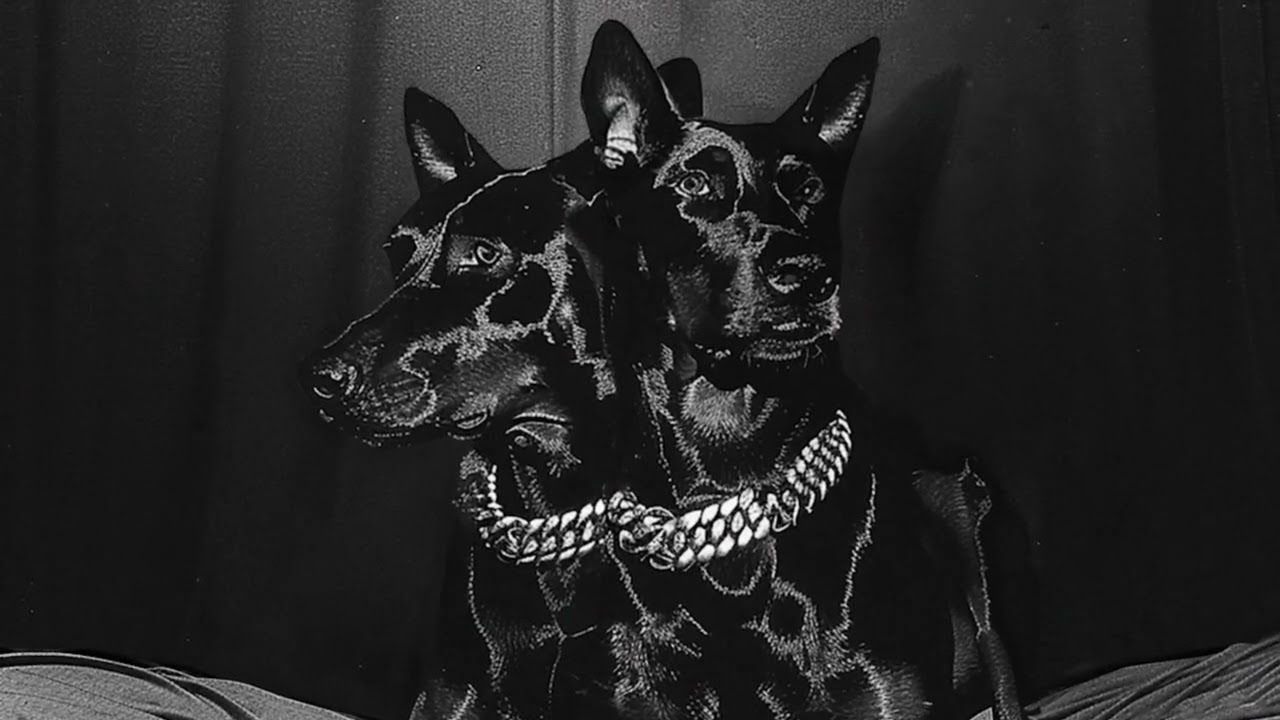 NTO ? Sofiane Pamart - Nevado Sorata (Visualizer)