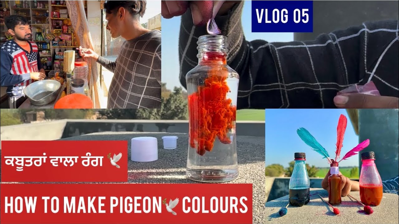 How to make pigeon🕊️colours || ਕਬੂਤਰਾਂ ਦੇ ਲਾਉਣ ਵਾਲਾ ਰੰਗ ਕਰਤਾ ਤਿਆਰ, ਤੇ ਨਾਲ-ਨਾਲ ਦਿੱਤੀ ਸਾਰੀ ਜਾਣਕਾਰੀ…