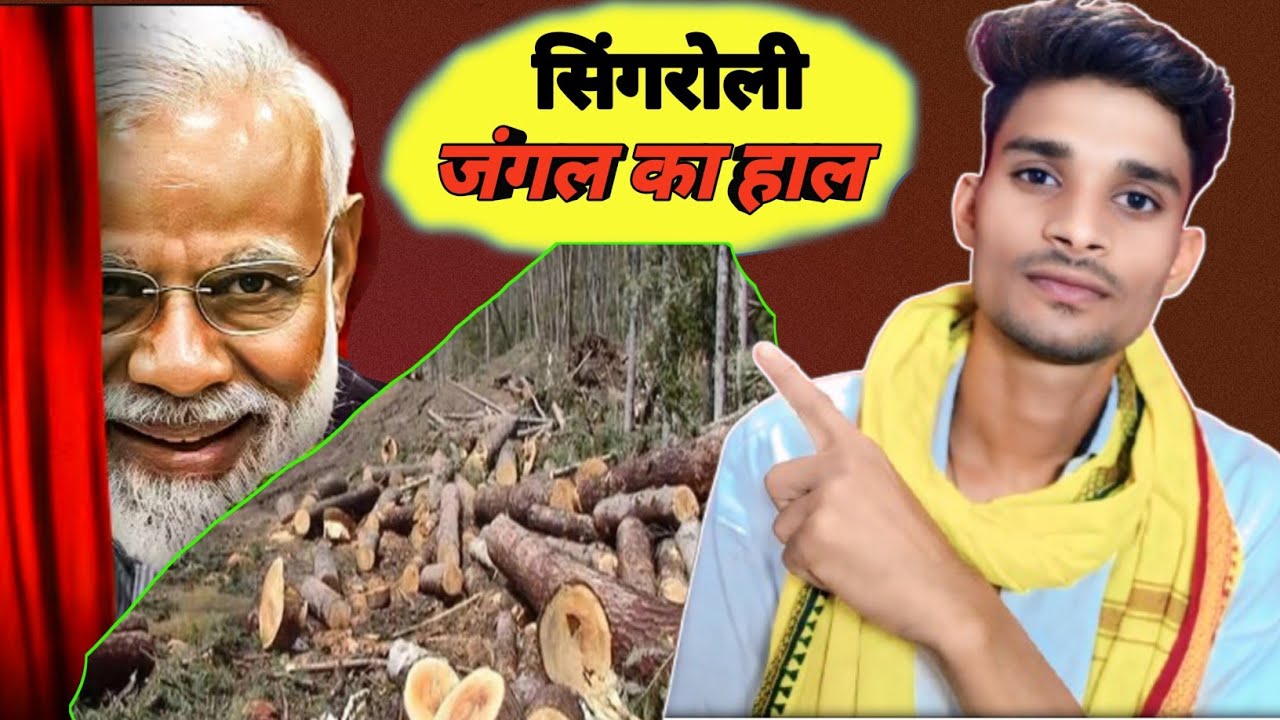 सिंगरोली जंगल बचाओ/ Abhi Bhi Katai Ho Rahi Hai/Singroli Jangal Ki Katai/Vinod Jamre Official 