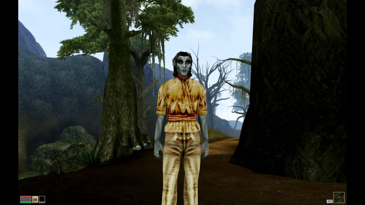 The Nerevarine screams for Tarhiel