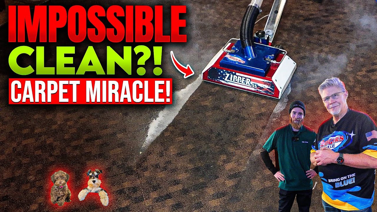 We Clean TRASHED Carpet - Can Two Steam Cleaners Make It New Again?