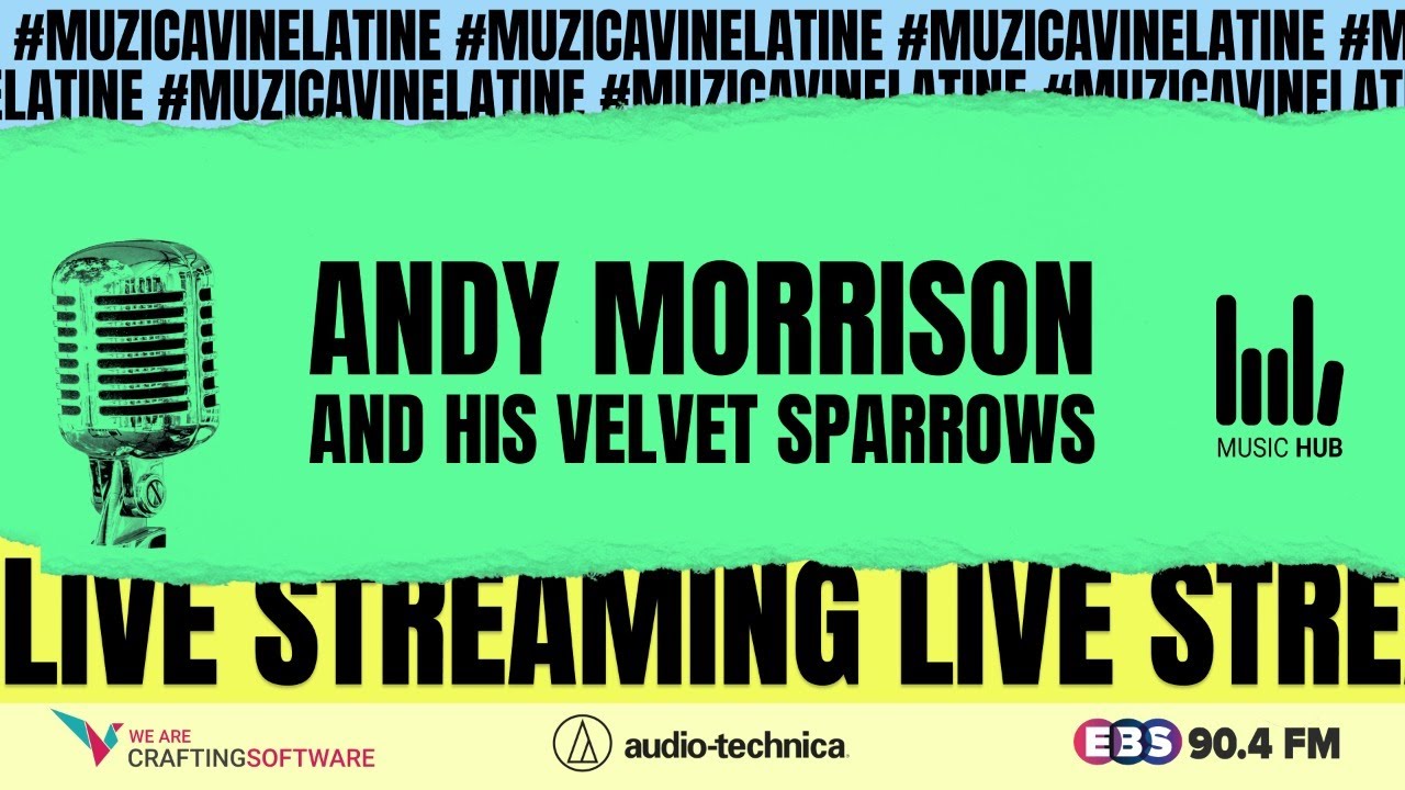 Concert live: ANDY MORRISON and his Velvet Sparrows vin la tine. În boxe, căști și pe ecran.