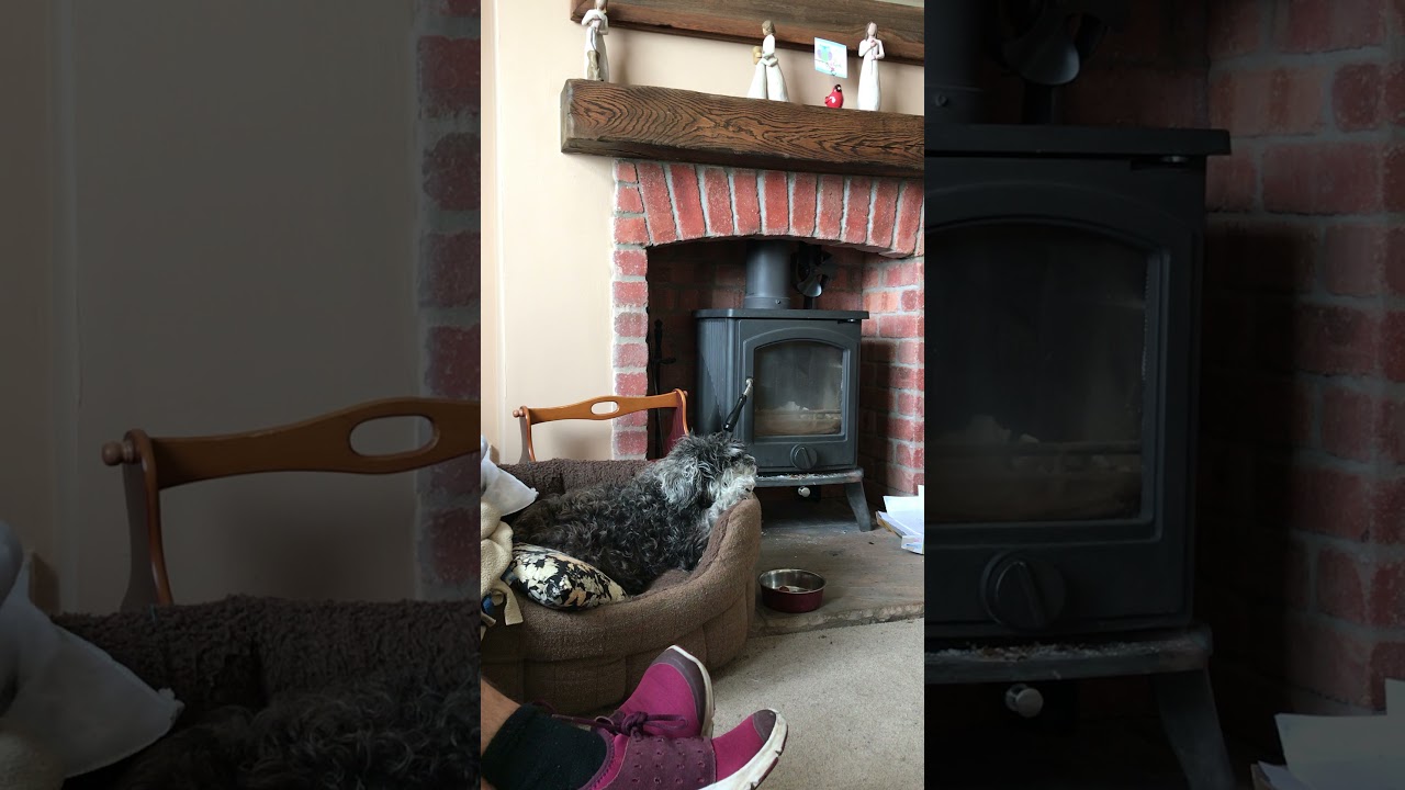 Poppy and Sean Reunite After Two Years