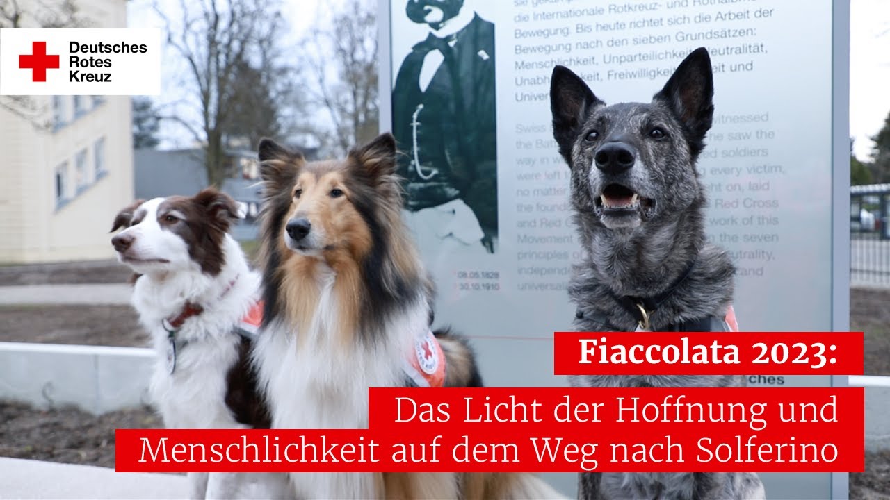 Fiaccolata 2023: Das Licht der Hoffnung und der Menschlichkeit auf dem Weg nach Solferino