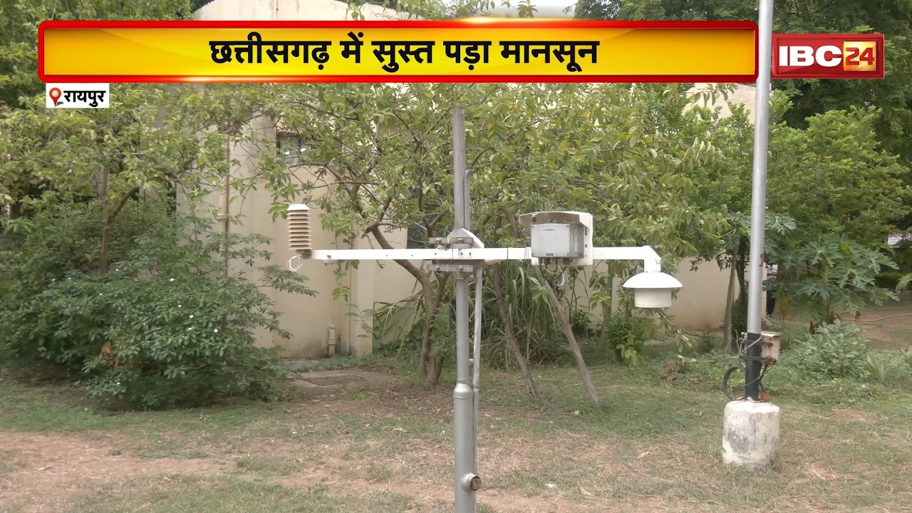 CG Weather Update: छत्तीसगढ़ में सुस्त पड़ा मानसून | 70-80% कम बारिश,कल से 30 जून तक बारिश की उम्मीद